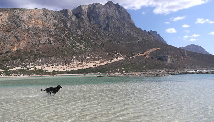 rientro dalle vacanze: 11 consigli per affrontarlo al meglio